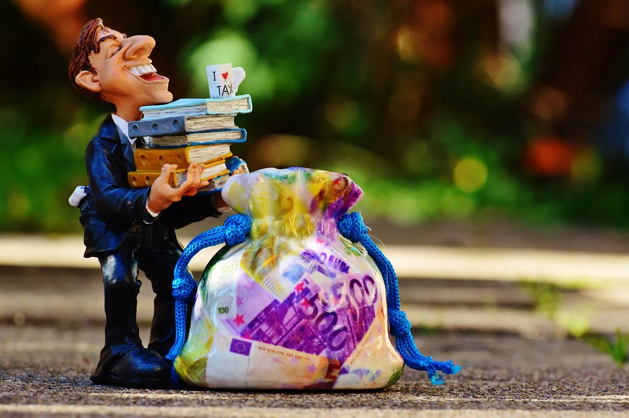 Hoe werkt de digitale belastingaangifte?